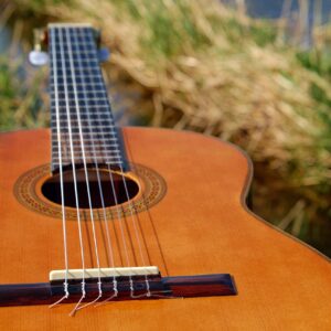 Guitarra clasica
