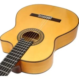 Flamencas Cutaway